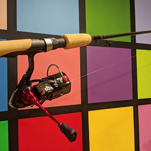 spinning rod and reel